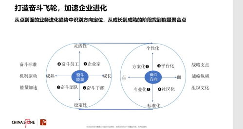 加速奋斗型组织进化 构建系统化文化管理体系的完整指南
